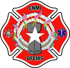 DFEMS logo
