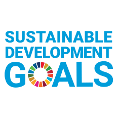 SDG small logo