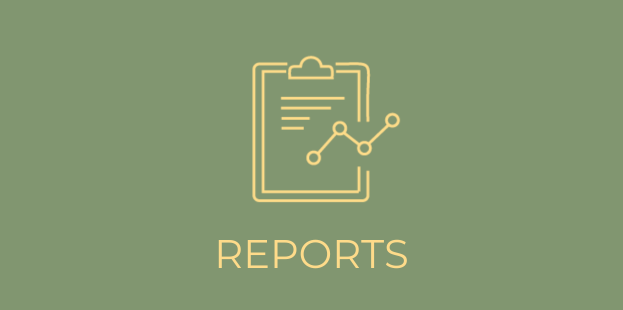 Report Image