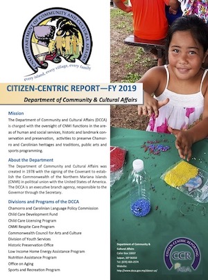 2019 DCCA Citizen Centric Report cover ar