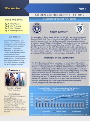 2019 DOL Citizen Centric Report cover art