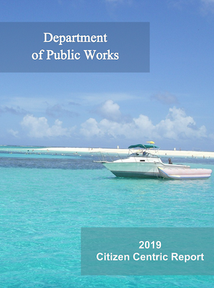 2019 DPW Citizen-Centric
                                                    Report cover art