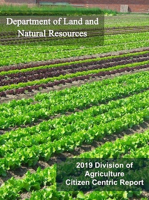 2019 DLNR - Division of Agriculture Citizen Centric Report cover art