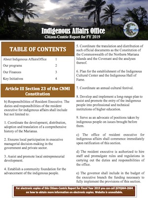 2019 Indigenous Affairs Office (IAO) Citizen-Centric Report cover art