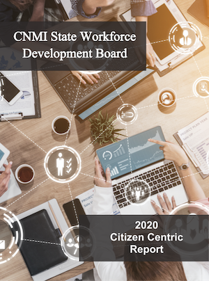 2020 SWDB Citizen Centric Report cover art