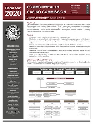 2020 CCC Citizen Centric Report cover art