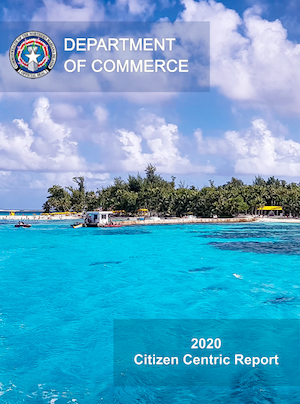 2020 Department of Commerce Citizen Centric Report cover art