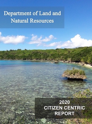 2020 DLNR Citizen Centric Report cover art
