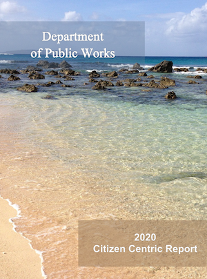 2020 DPW Citizen Centric Report