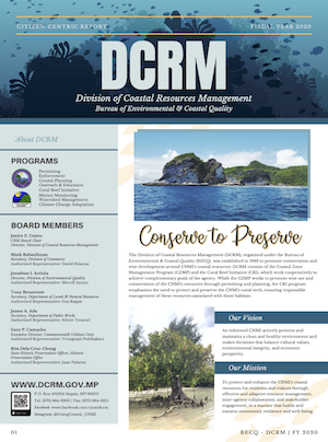 2020 DCRM Citizen Centric Report cover art