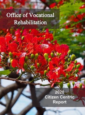 2020 Office of Vocational Rehabilitation (OVR) Citizen Centric Report cover art