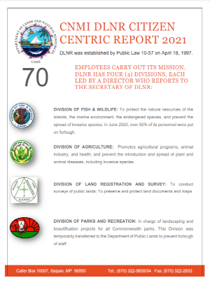 2021 DLNR Saipan Citizen Centric Report cover art