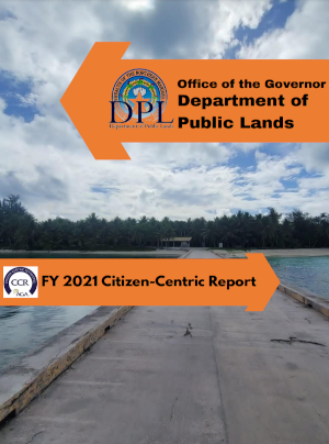 2021 DPL Citizen Centric Report cover art