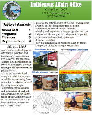 2021 Indigenous Affairs Office Citizen Centric Report cover art