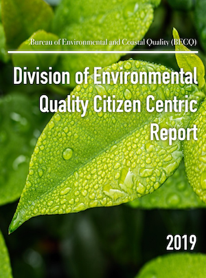 2019 BECQ Citizen Centric Report cover art