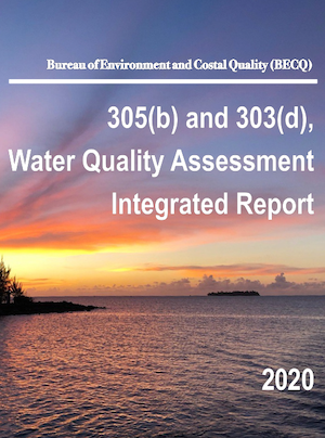 2020 Water Quality Assessment cover art