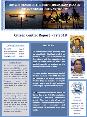 2019 CPA Citizen Centric Report cover art