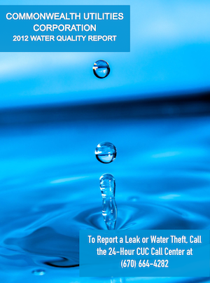 2012 CUC Water Quality Report cover art