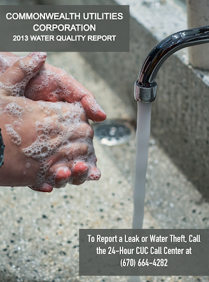 2013 CUC Water Quality Report cover art