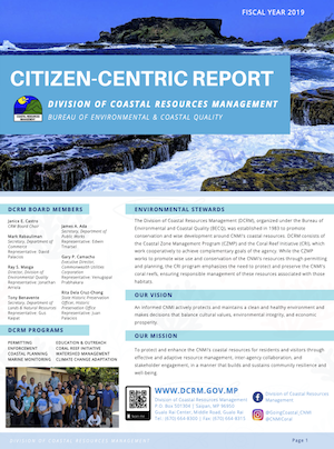 2019 DCRM Citizen Centric Report cover art