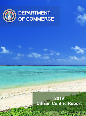 2019 Department of Commerce Citizen Centric Report