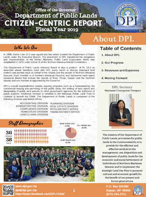 2019 DPL Citizen Centric Report