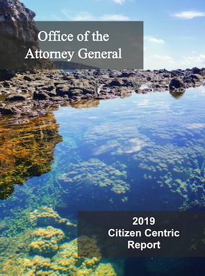 2019 Office of the Attorney General (OAG) Citizen Centric Report cover art