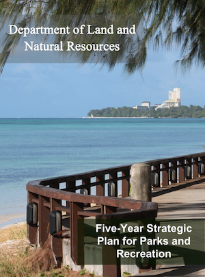 Five-year Strategic Plan for Parks and Recreation cover art
